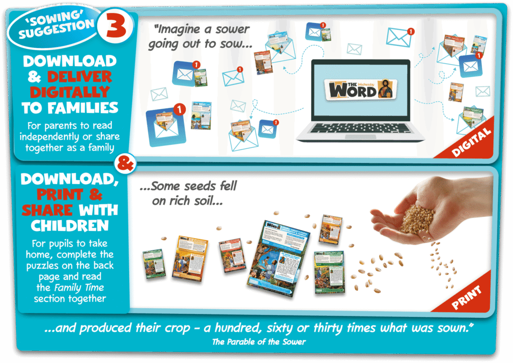Sowing Suggestion 3
